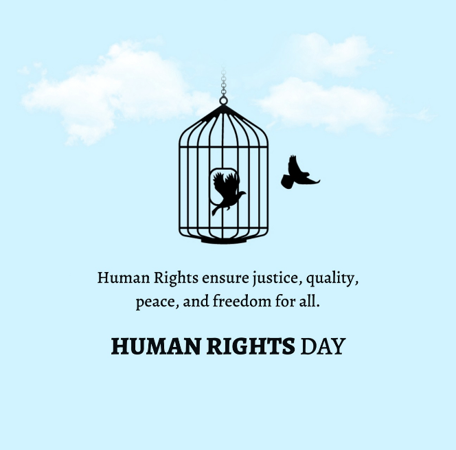 Picwale - Readymade Human Rights Day Post 1