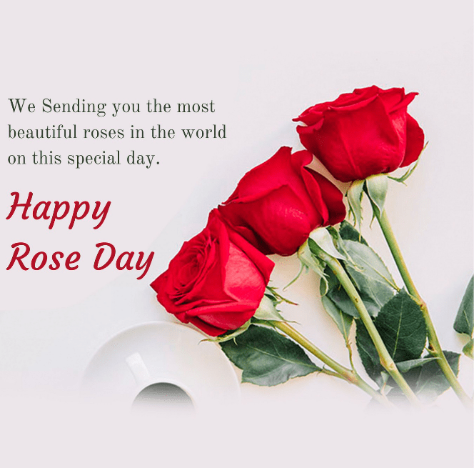 Picwale - Readymade Happy Rose Day Post