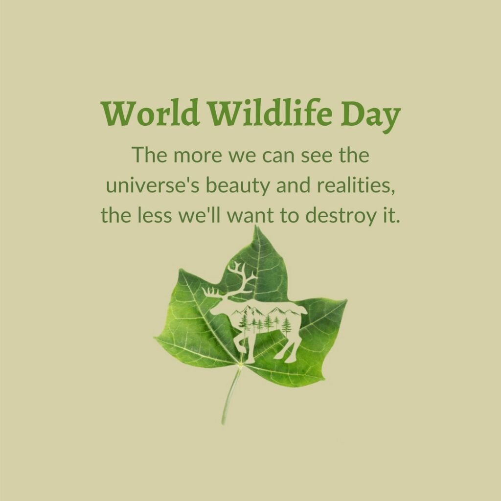 Picwale-Readymade World Wildlife Day Post