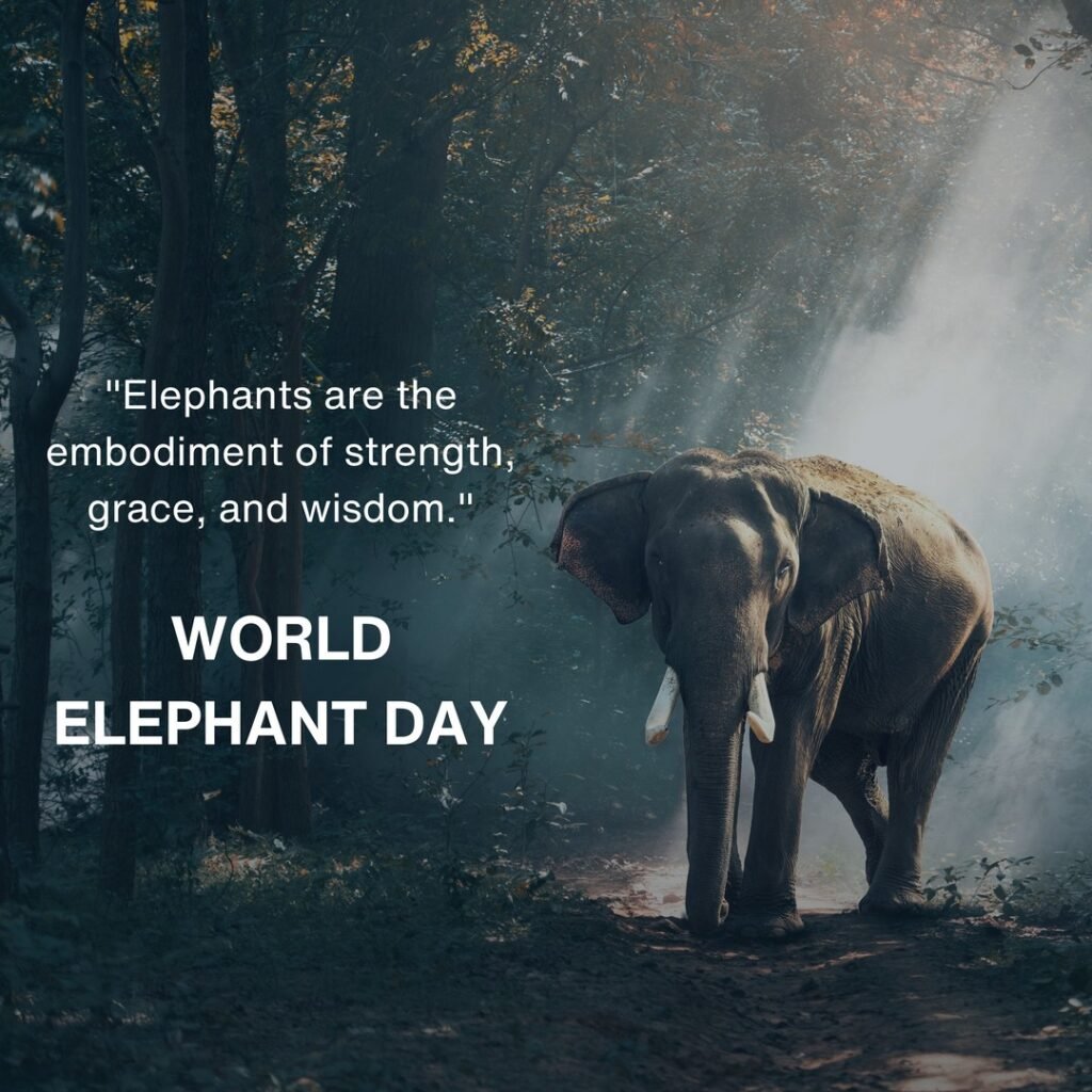 Picwale - Readymade World Elephant Day Post