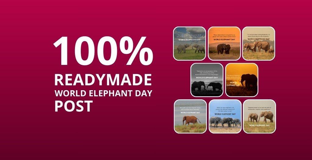 Picwale - Readymade World Elephant Day Post