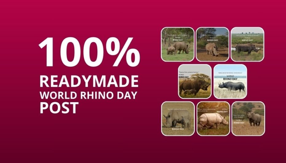 Picwale - Readymade World Rhino Day Post 