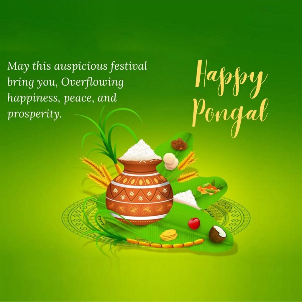 Picwale - Readymade Free Pongal Post