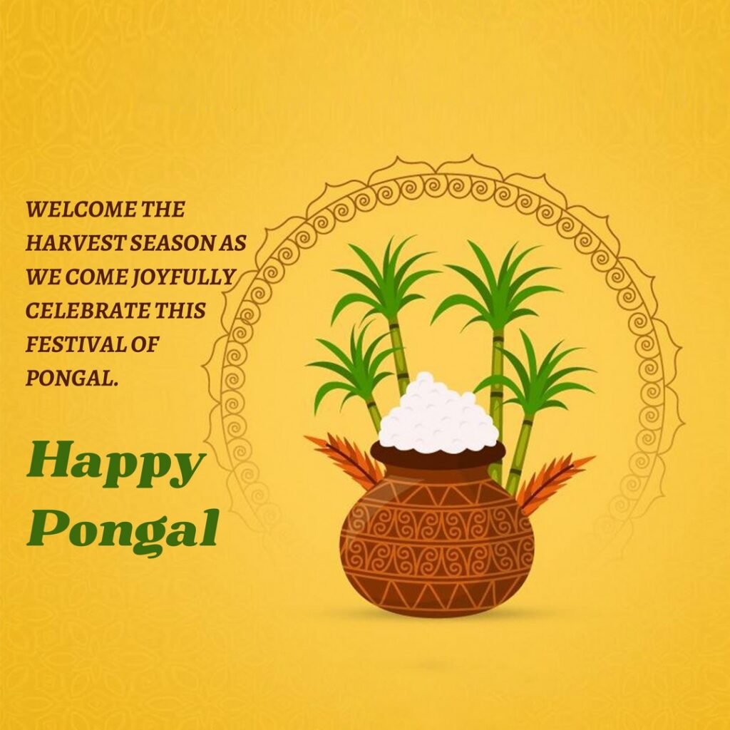 Picwale - Readymade Free Pongal Post